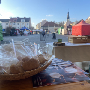 IMG_2379.jpeg