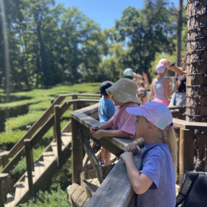 IMG_8817.jpeg